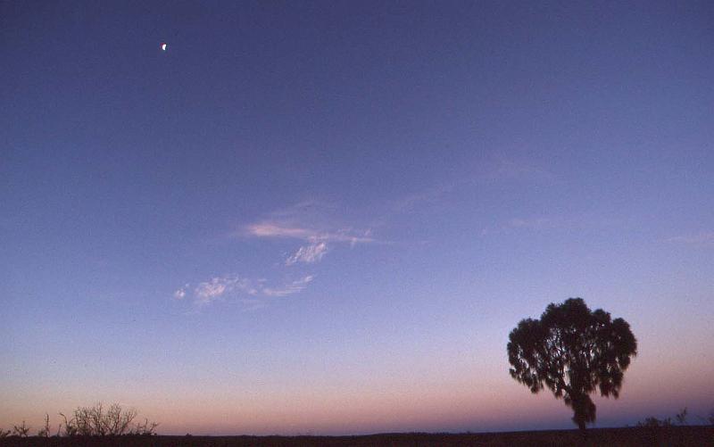 WT 0400 093-35 Australia.jpg